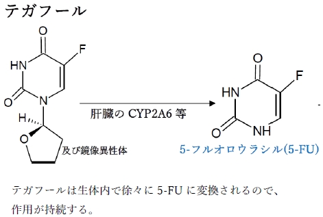108回薬剤師国家試験問171　プロドラッグとその親化合物及びプロドラッグ化の目的